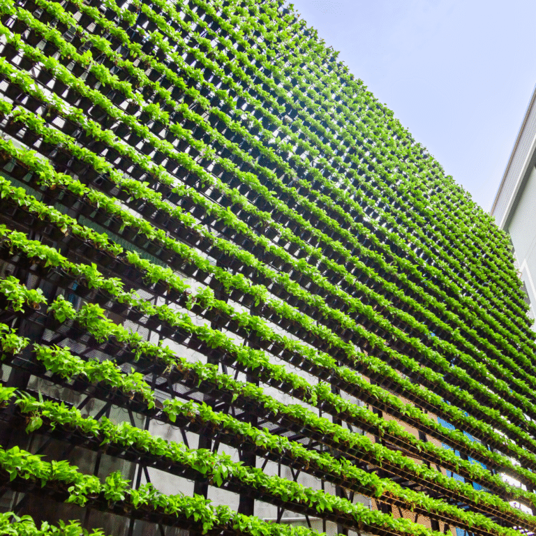 A closer look at Sustainable Urban Agriculture Projects